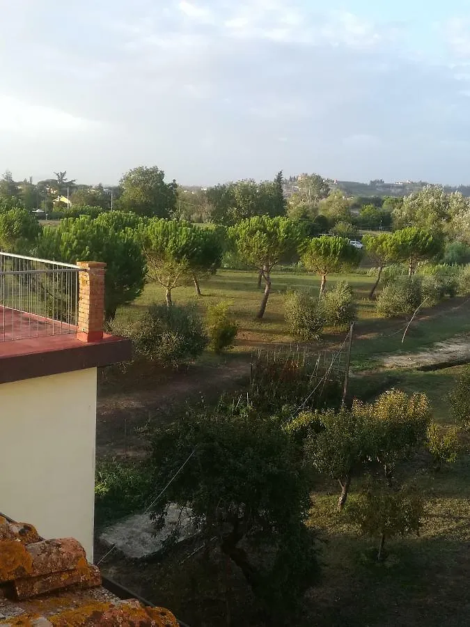 Casa Tafi Apartment Castelfiorentino